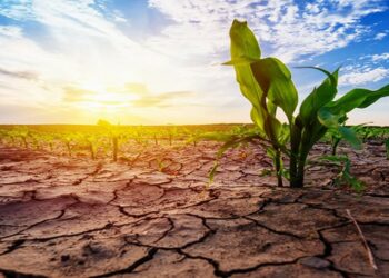 توقعات CSRGULF لخريف 2022: خريف شاذ وجاف ومتقلب جدا في دول الشرق الأوسط والخليج والمغرب العربي